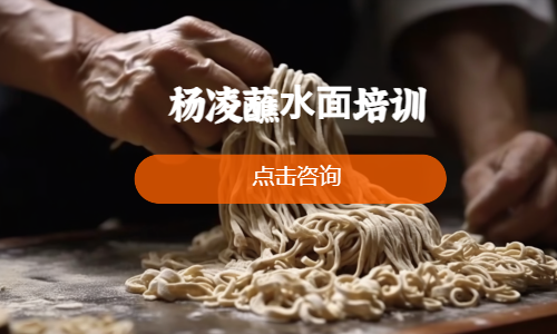 杨凌蘸⽔⾯培训